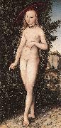 CRANACH, Lucas the Elder Venus Standing in a Landscape  fdg France oil painting reproduction